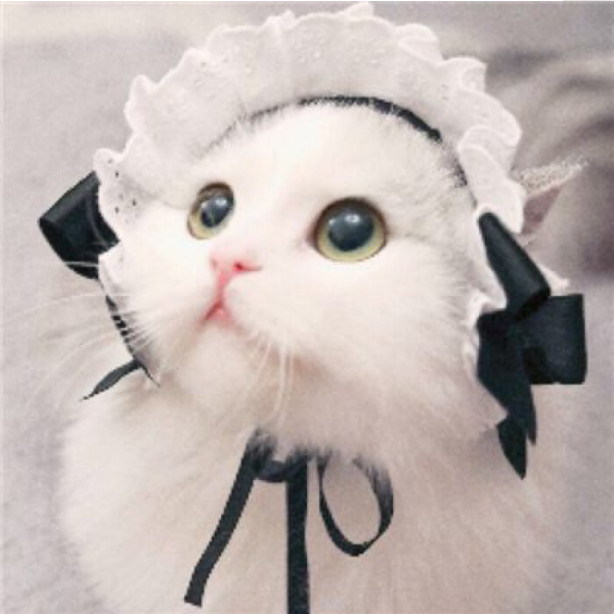 1樓頭像