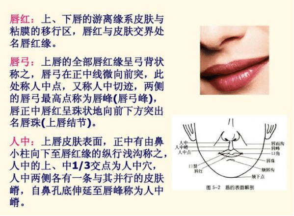 唇紅緣需要修復(fù)的類型是哪些?唇紅緣整復(fù)術(shù)的優(yōu)點(diǎn)