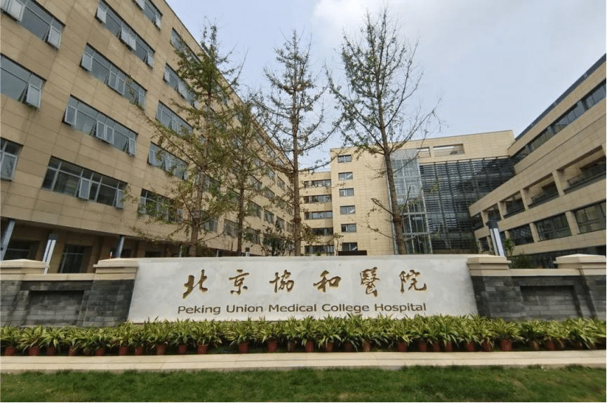 北京協(xié)和醫(yī)院植發(fā)科 北京協(xié)和醫(yī)院植發(fā)科