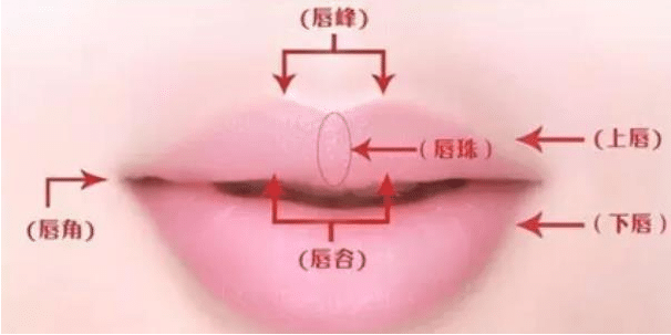 唇部整形干貨解析!嘴唇變厚變薄這些點(diǎn)你要記住。