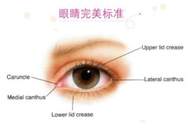 割雙眼皮有哪些風(fēng)險(xiǎn)？雙眼皮種類介紹以及風(fēng)險(xiǎn)介紹