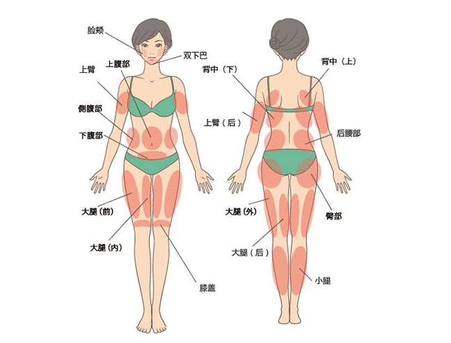上海吸脂整形醫(yī)院排名公開，來看看都有哪些！