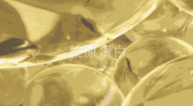 膠原蛋白 膠原蛋白