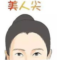 美人尖 美人尖