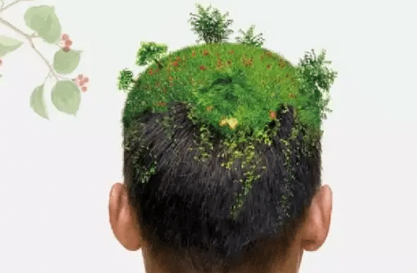 植發(fā) 植發(fā)