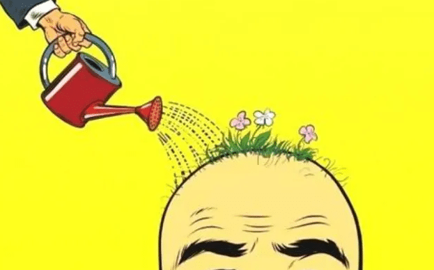 植發(fā) 植發(fā)