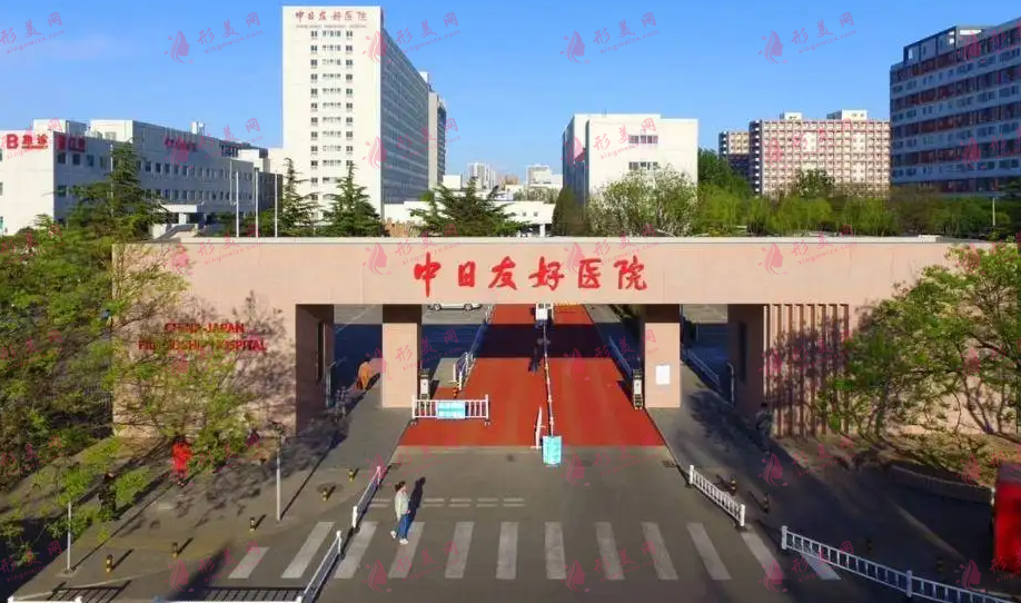 中日友好醫(yī)院路會醫(yī)生個人簡介 中日友好醫(yī)院路會醫(yī)生個人簡介