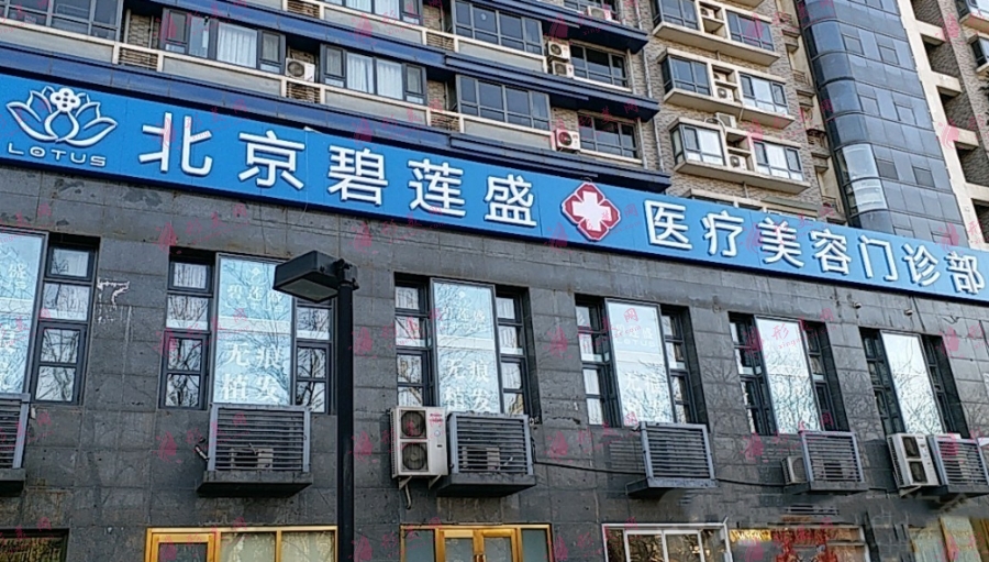 北京碧蓮盛 北京碧蓮盛