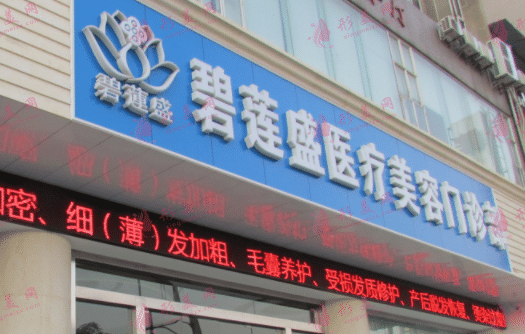 蘭州碧蓮盛 蘭州碧蓮盛
