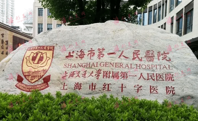 上海市第一人民醫(yī)院整形外科