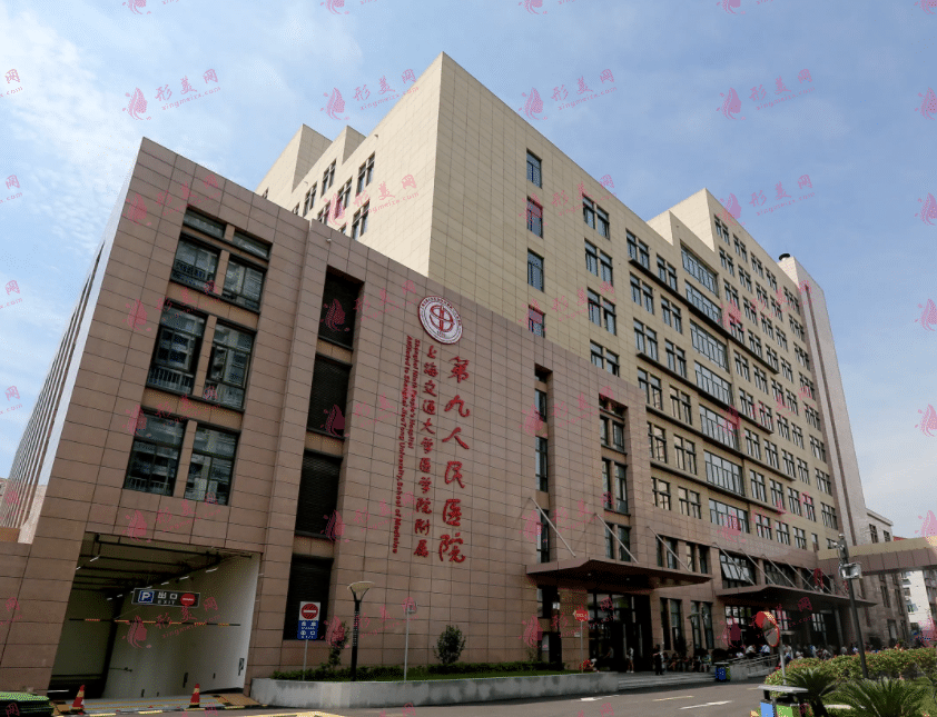 上海第九醫(yī)院醫(yī)療美容醫(yī)院 上海第九醫(yī)院醫(yī)療美容醫(yī)院
