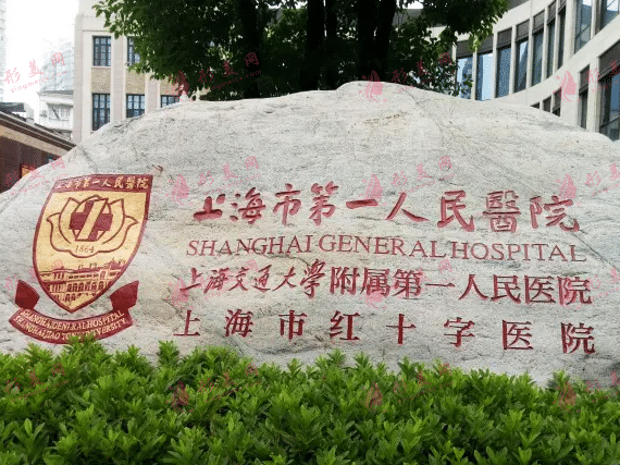 上海市第一人民醫(yī)院