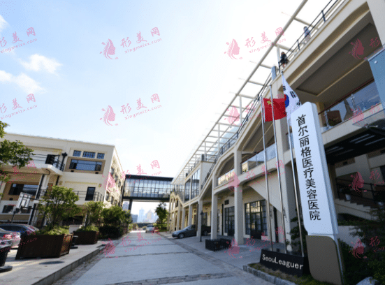 上海首爾麗格醫(yī)療美容醫(yī)院 上海首爾麗格醫(yī)療美容醫(yī)院