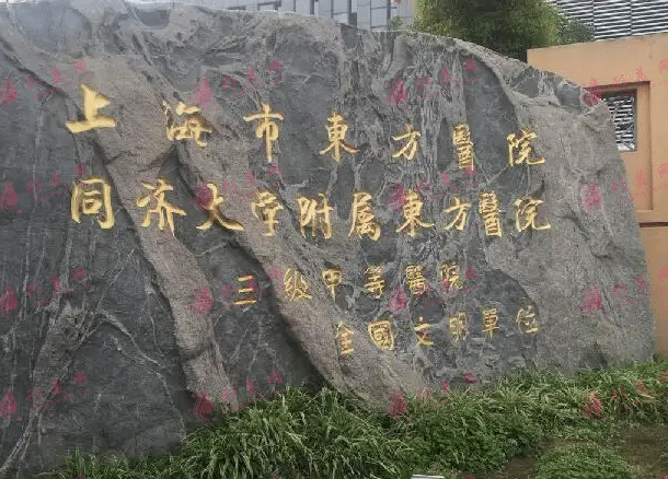 同濟(jì)大學(xué)附屬東方醫(yī)院整形外科 同濟(jì)大學(xué)附屬東方醫(yī)院整形外科