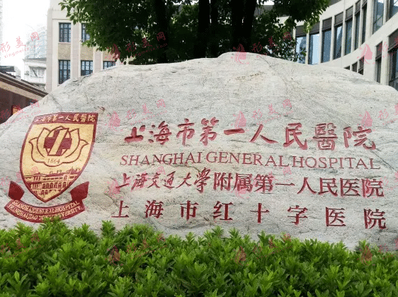 上海第一醫(yī)院整形外科