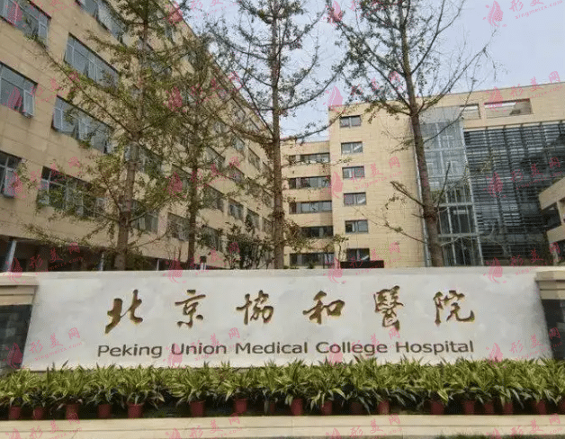中國醫(yī)學科學院北京協(xié)和醫(yī)院整形外科(西院)