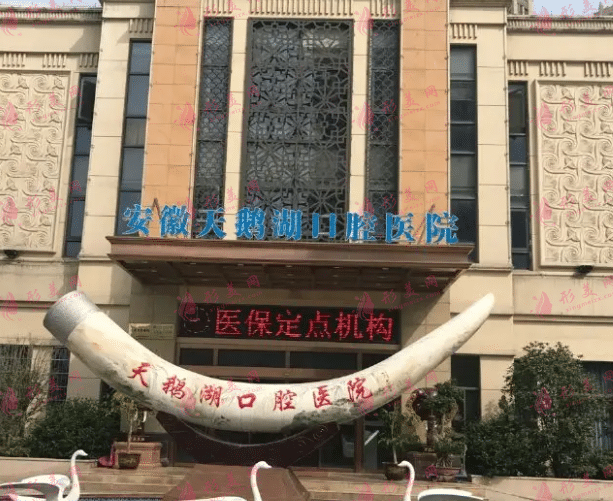 合肥天鵝湖口腔醫(yī)院 合肥天鵝湖口腔醫(yī)院