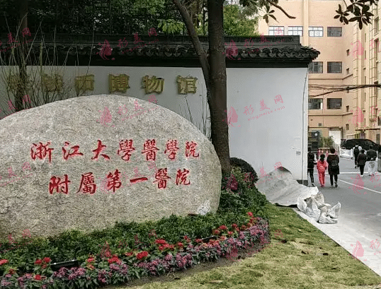 浙江大學(xué)附屬第一醫(yī)院整形外科