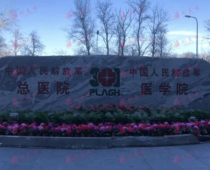 北京301醫(yī)院整形外科