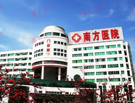南方醫(yī)科大學南方醫(yī)院植發(fā)科在華南地區(qū)怎么樣？口碑點評