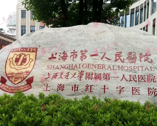 上海市第一人民醫(yī)院整形外科
