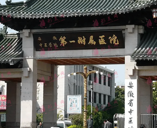安徽中醫(yī)藥大學第一附屬醫(yī)院整形科 安徽中醫(yī)藥大學第一附屬醫(yī)院整形科