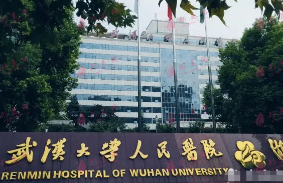 武漢大學(xué)人民醫(yī)院整形外科