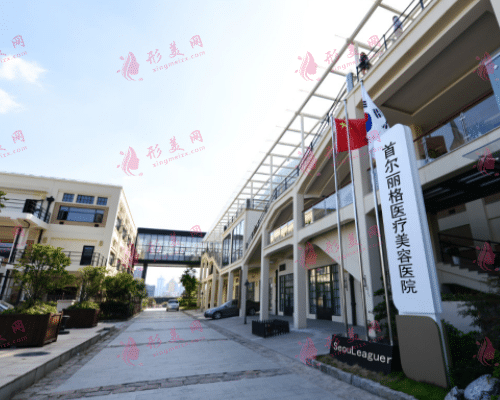 上海首爾麗格美容醫(yī)院 上海首爾麗格美容醫(yī)院