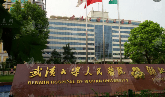 武漢大學人民醫(yī)院整形美容外科 武漢大學人民醫(yī)院整形美容外科