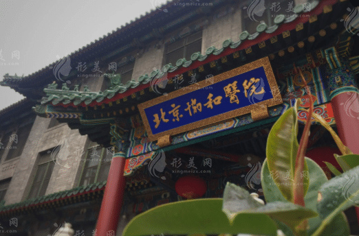 北京協(xié)和醫(yī)院整形外科 北京協(xié)和醫(yī)院整形外科