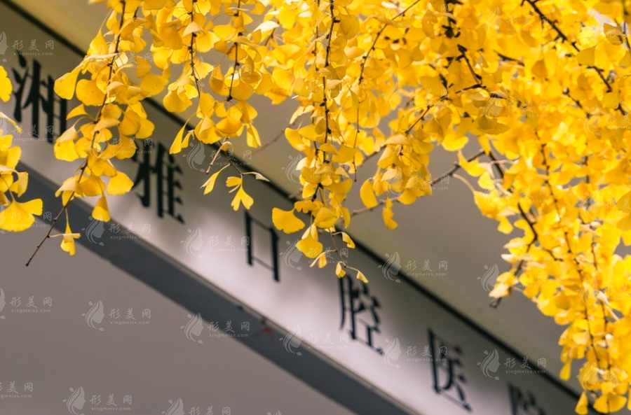 湘雅醫(yī)院口腔醫(yī)學(xué)中心 湘雅醫(yī)院口腔醫(yī)學(xué)中心