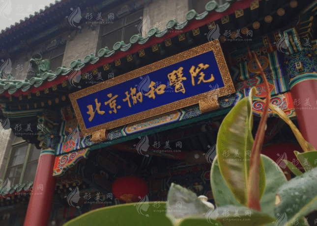 北京協(xié)和醫(yī)院整形美容科太陽(yáng)穴填充需要多少錢？
