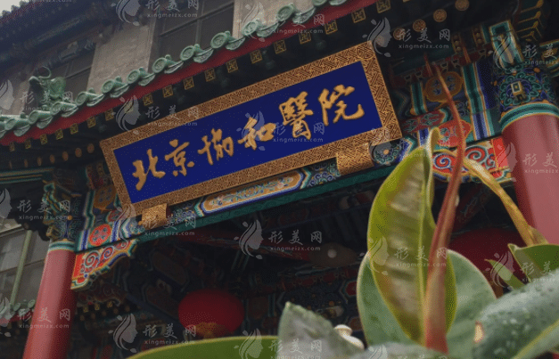 北京協(xié)和醫(yī)院激光毛發(fā)整形中心