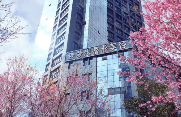 昆明夢(mèng)想醫(yī)療美容醫(yī)院 昆明夢(mèng)想醫(yī)療美容醫(yī)院