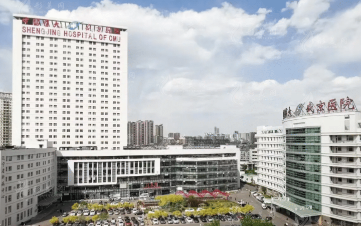 中國醫(yī)科大學附屬盛京醫(yī)院 中國醫(yī)科大學附屬盛京醫(yī)院