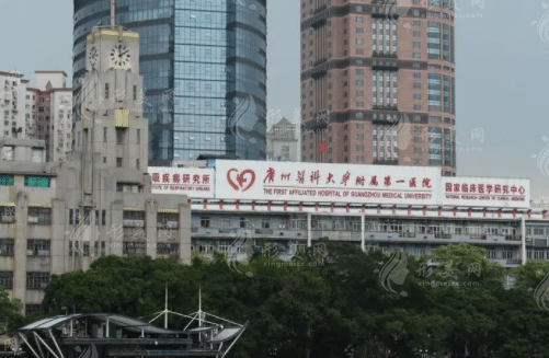 冀航--廣州醫(yī)科大學(xué)附屬第一醫(yī)院整形外科 冀航--廣州醫(yī)科大學(xué)附屬第一醫(yī)院整形外科