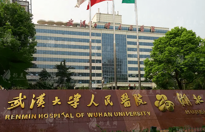 湖北省人民醫(yī)院 湖北省人民醫(yī)院