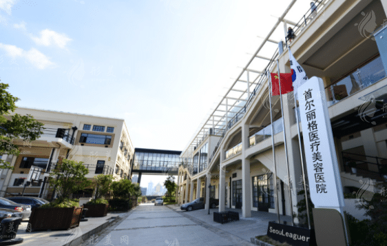 上海首爾麗格醫(yī)療美容醫(yī)院