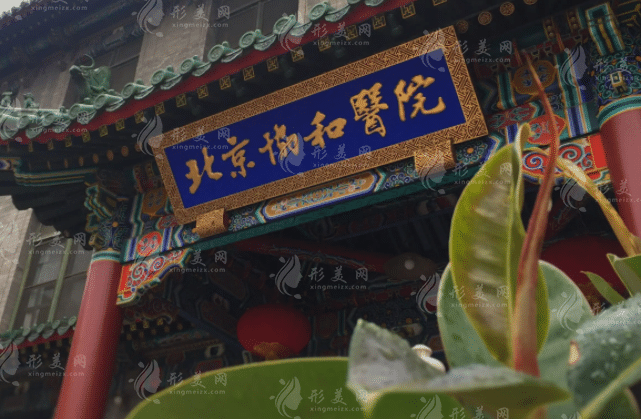北京協(xié)和醫(yī)院整形外科 北京協(xié)和醫(yī)院整形外科