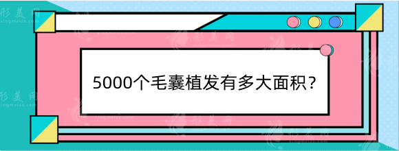 5000個(gè)毛囊植發(fā)有多大面積，植發(fā)價(jià)格表、醫(yī)院信息已送達(dá)！