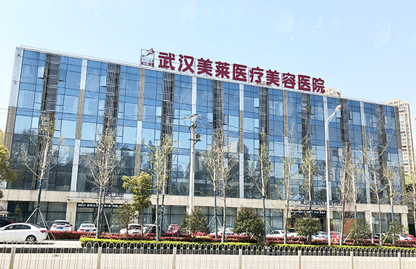 武漢美萊醫(yī)療美容 武漢美萊醫(yī)療美容