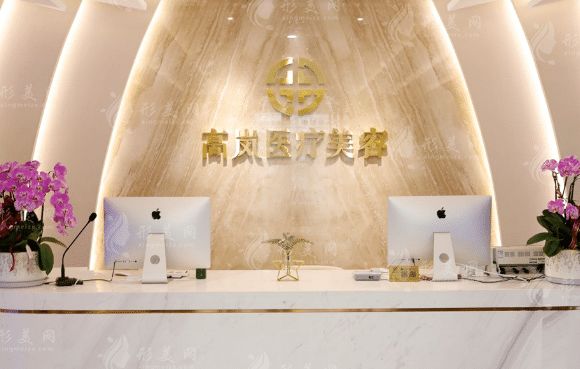 高嵐醫(yī)學(xué)美容醫(yī)院 高嵐醫(yī)學(xué)美容醫(yī)院