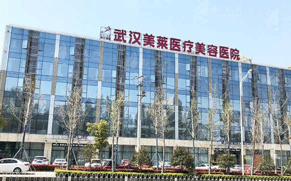 武漢美萊醫(yī)療美容醫(yī)院 武漢美萊醫(yī)療美容醫(yī)院