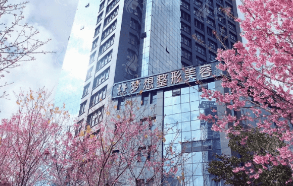 昆明夢(mèng)想醫(yī)療美容醫(yī)院 昆明夢(mèng)想醫(yī)療美容醫(yī)院