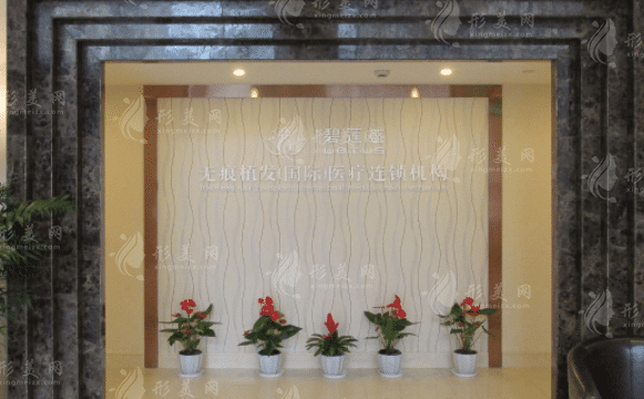 上海碧蓮盛植發(fā) 上海碧蓮盛植發(fā)