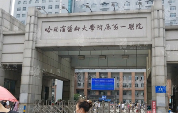 哈爾濱醫(yī)科大學(xué)附屬第一醫(yī)院 哈爾濱醫(yī)科大學(xué)附屬第一醫(yī)院