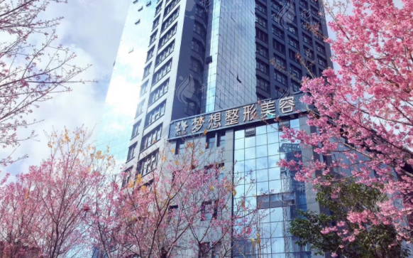 昆明夢想醫(yī)療美容醫(yī)院
