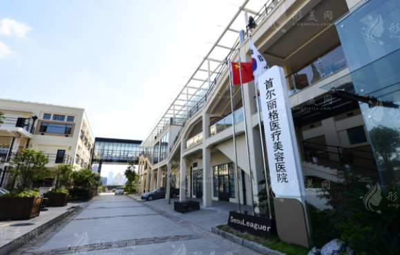 上海首爾麗格醫(yī)療美容醫(yī)院信息介紹 上海首爾麗格醫(yī)療美容醫(yī)院信息介紹