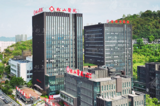 重慶松山醫(yī)院整形價格查詢表