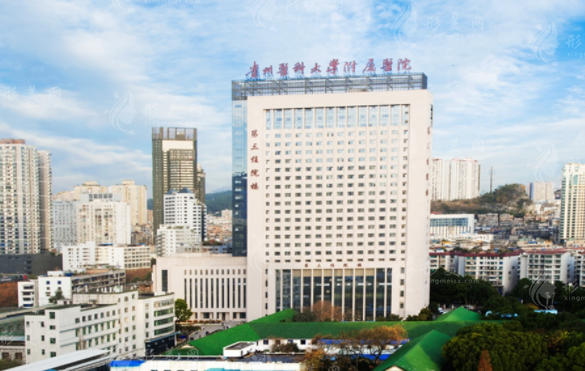 貴陽醫(yī)科大學(xué)附屬醫(yī)院整形外科 貴陽醫(yī)科大學(xué)附屬醫(yī)院整形外科